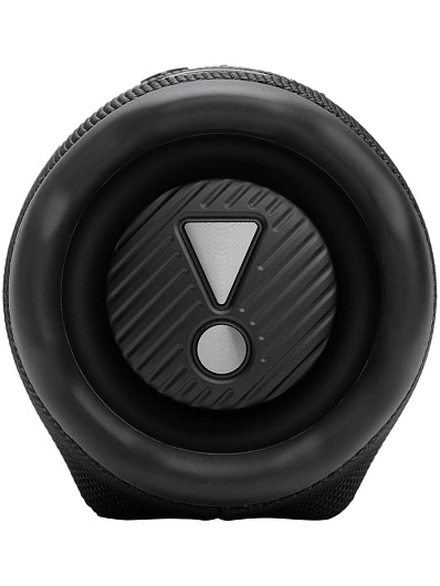 Беспроводная акустика JBL CHARGE 6 Черный