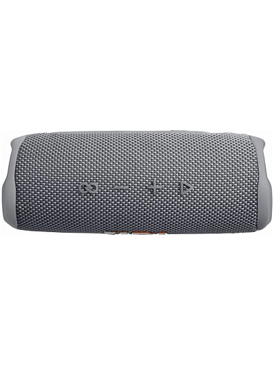 Беспроводная акустика JBL Flip 6 Серый