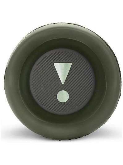 Беспроводная акустика JBL Flip 6 Хаки