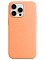 Чехол для iPhone 15 Pro Max Silicone Case Soft Touch (Оранжевый)