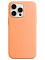 Чехол для iPhone 15 Pro Max Silicone Case Soft Touch Оранжевый