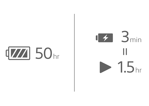 Беспроводные наушники Sony WH-CH520 Черный
