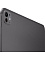 iPad Pro 13 M4 2024 WiFi+LTE 256 Гб Черный