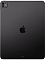 iPad Pro 13 M4 2024 WiFi+LTE 256 Гб Черный