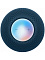 Умная колонка Apple HomePod mini Синий