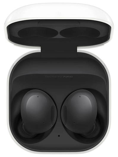 Беспроводные наушники Samsung Galaxy Buds2 (SM-R177) Черный