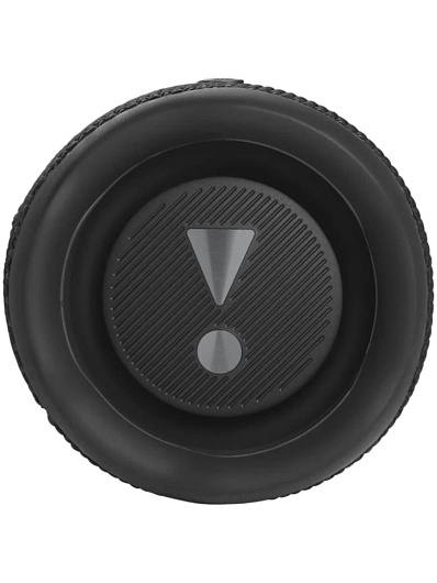 Беспроводная акустика JBL Flip 6 Черный