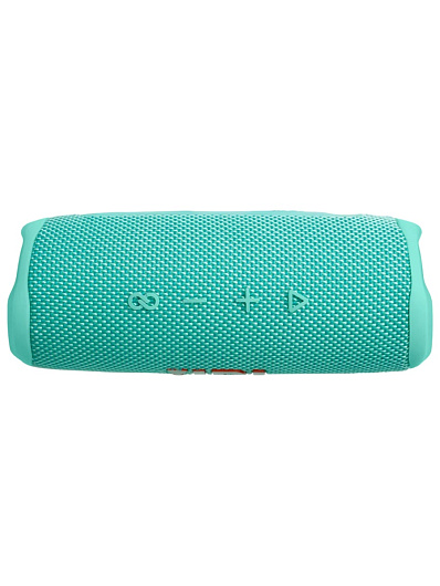 Беспроводная акустика JBL Flip 6 Бирюзовый