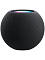Умная колонка Apple HomePod mini Серый