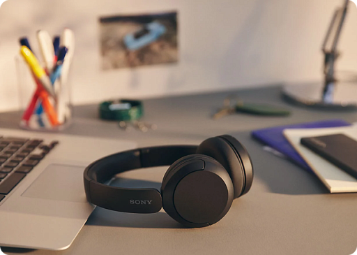 Беспроводные наушники Sony WH-CH520 Черный
